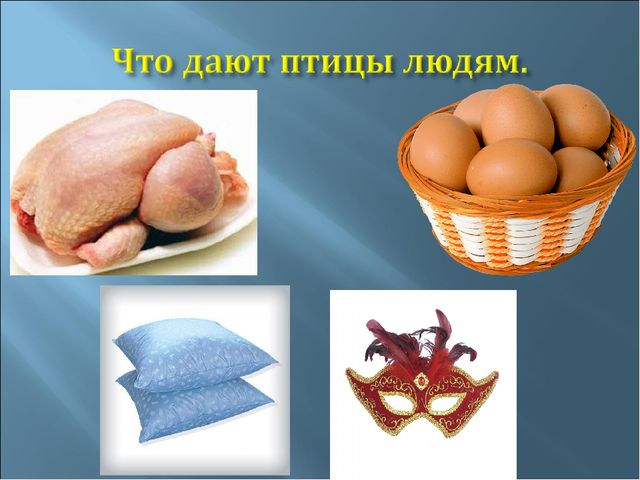 Мультимедийное пособие для 2 младшей группы на тему "Домашние птицы".