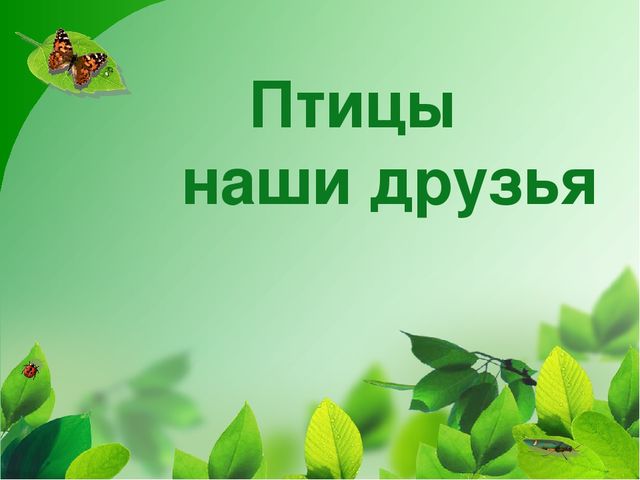 Мини-проект "Роль художественной литературы в познавательном развитии детей"