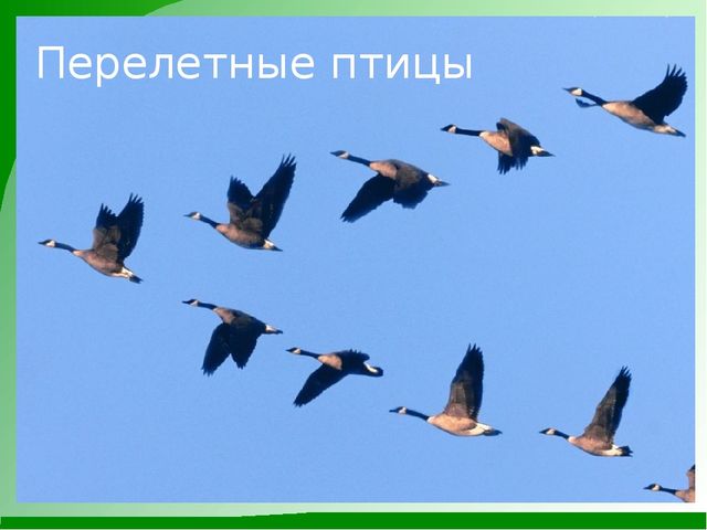 Мини-проект "Роль художественной литературы в познавательном развитии детей"