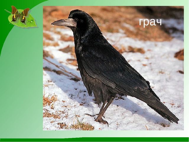 Мини-проект "Роль художественной литературы в познавательном развитии детей"