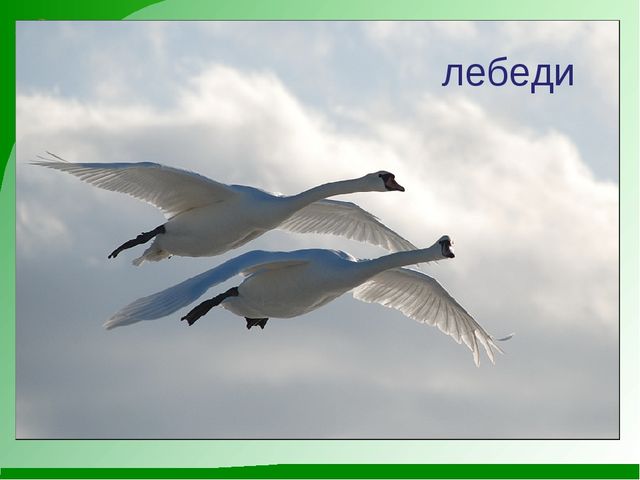 Мини-проект "Роль художественной литературы в познавательном развитии детей"
