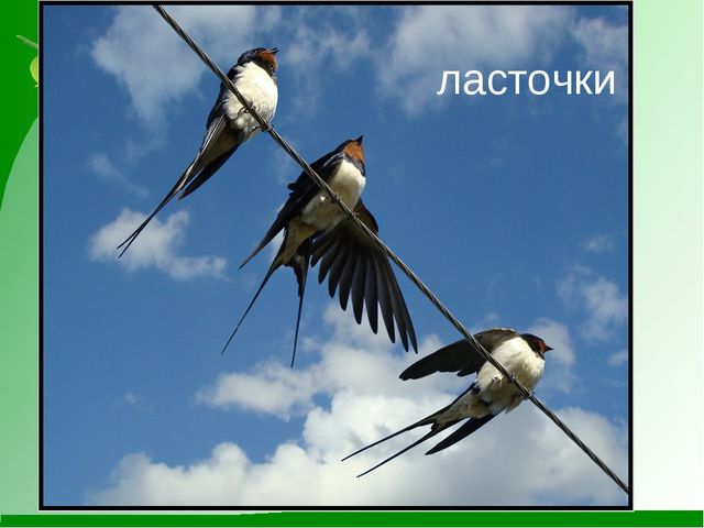 Мини-проект "Роль художественной литературы в познавательном развитии детей"