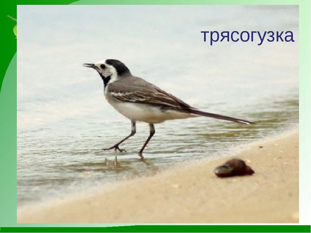 Мини-проект "Роль художественной литературы в познавательном развитии детей"