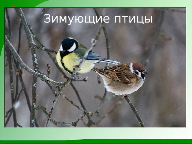 Мини-проект "Роль художественной литературы в познавательном развитии детей"