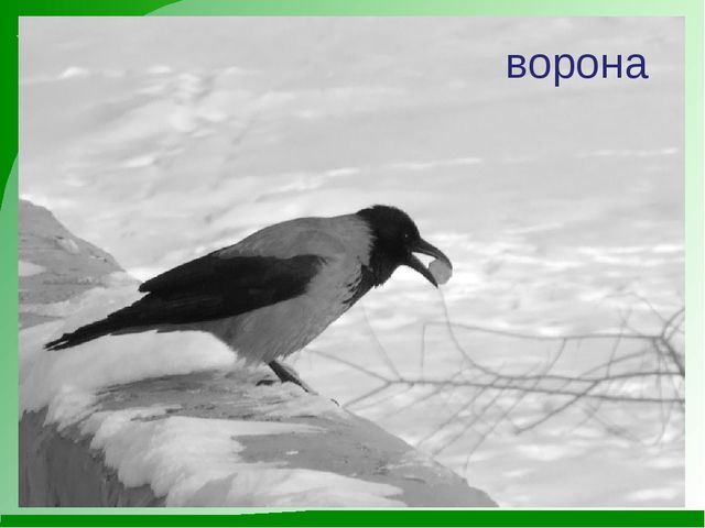 Мини-проект "Роль художественной литературы в познавательном развитии детей"