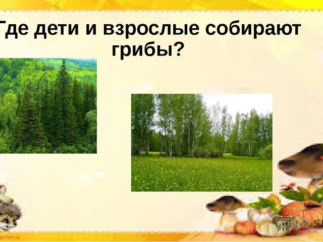 Интерактивная презентация по познавательной деятельности "Грибы бывают разные"