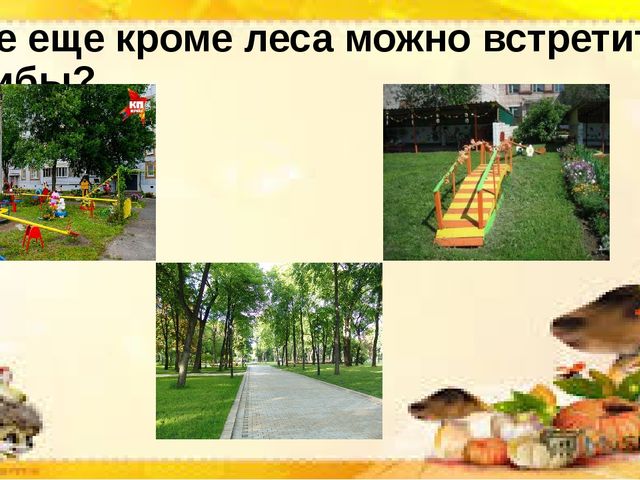 Интерактивная презентация по познавательной деятельности "Грибы бывают разные"