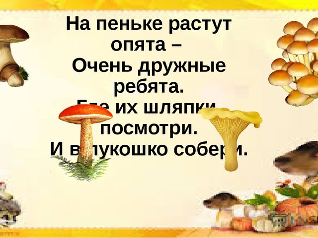 Интерактивная презентация по познавательной деятельности "Грибы бывают разные"
