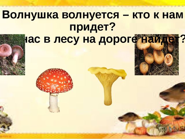 Интерактивная презентация по познавательной деятельности "Грибы бывают разные"