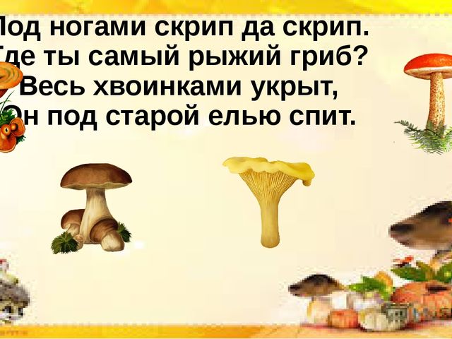 Интерактивная презентация по познавательной деятельности "Грибы бывают разные"