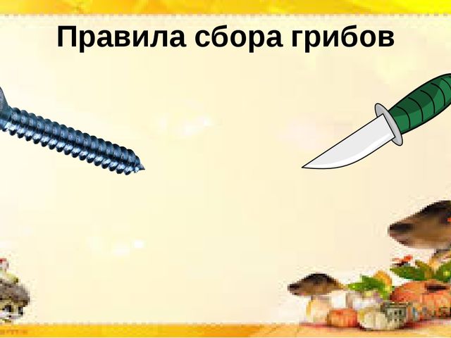 Интерактивная презентация по познавательной деятельности "Грибы бывают разные"