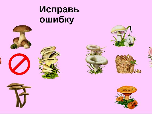 Интерактивная презентация по познавательной деятельности "Грибы бывают разные"