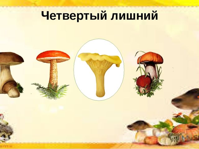 Интерактивная презентация по познавательной деятельности "Грибы бывают разные"