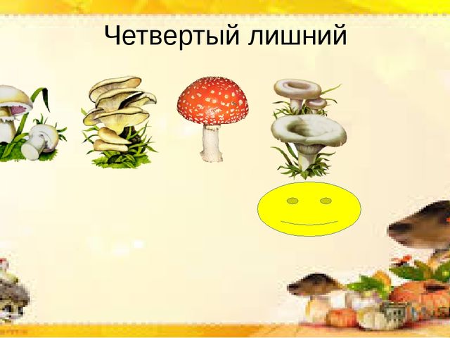 Интерактивная презентация по познавательной деятельности "Грибы бывают разные"
