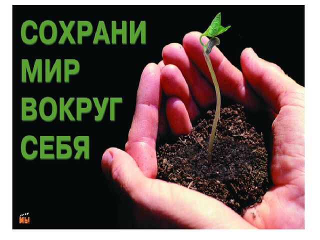 Презентация:"Лекарственные растения нашего города"