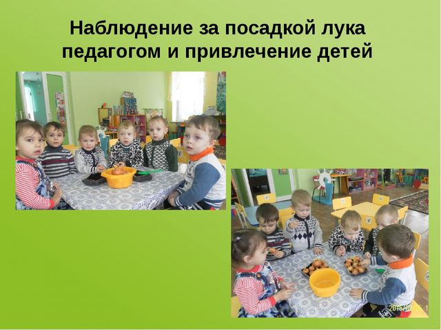 Проектная деятельность в первой младшей группе «Наш — лучок дружок»