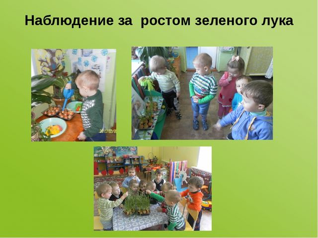 Проектная деятельность в первой младшей группе «Наш — лучок дружок»