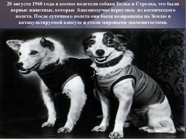Презентация по ознакомлению с окружающим на тему" Нам покорятся звезды, откроются миры"