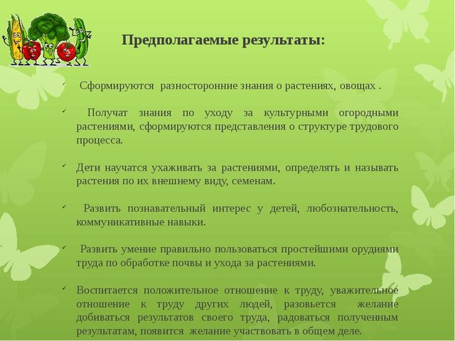 Презентация "Наш веселый огород"