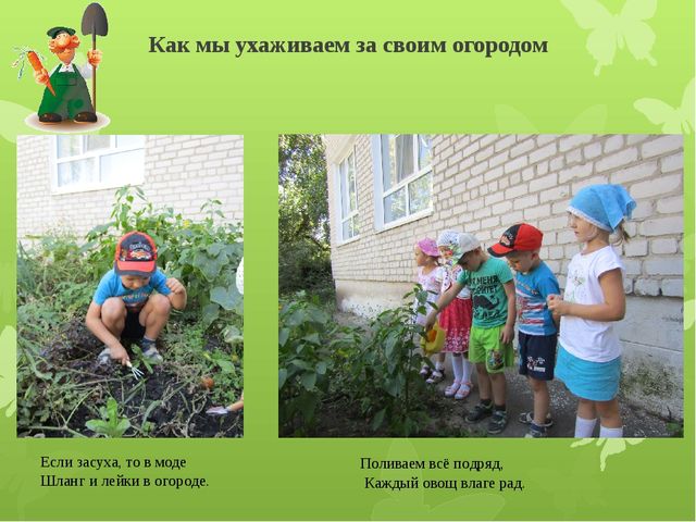Презентация "Наш веселый огород"