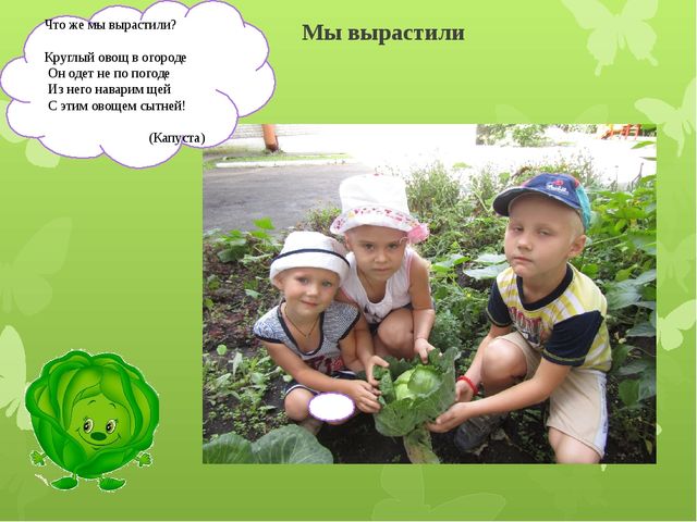 Презентация "Наш веселый огород"