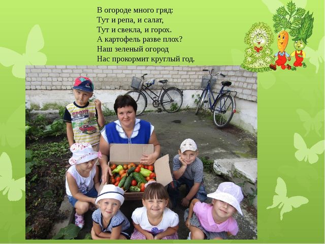 Презентация "Наш веселый огород"