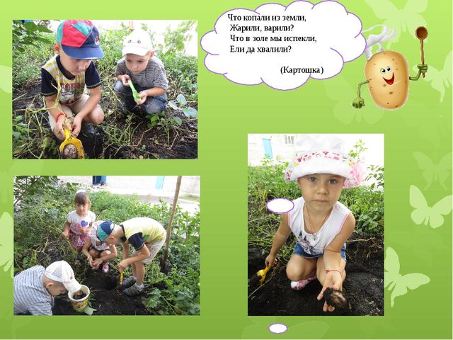 Презентация "Наш веселый огород"