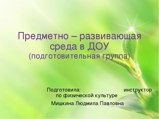 Предметно - развивающая среда в ДОУ