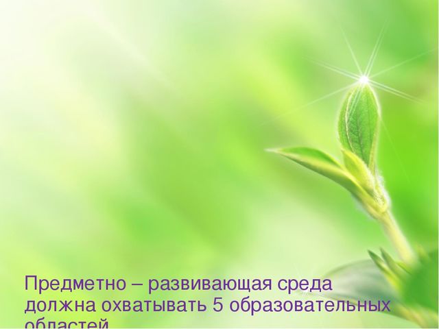 Предметно - развивающая среда в ДОУ