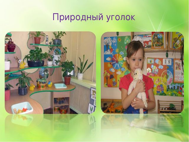 Предметно - развивающая среда в ДОУ