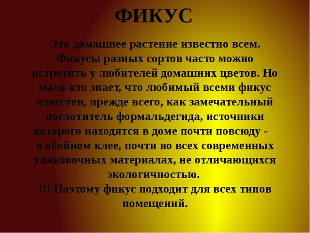 Презентация для детей старшей группы "Комнатные растения"