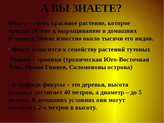 Презентация для детей старшей группы "Комнатные растения"