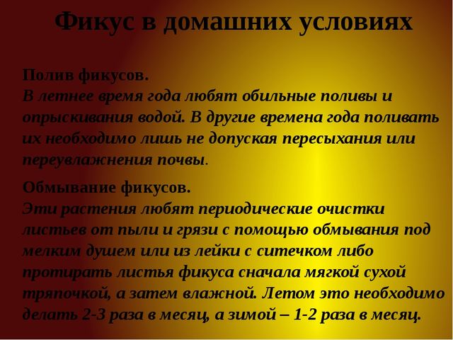 Презентация для детей старшей группы "Комнатные растения"
