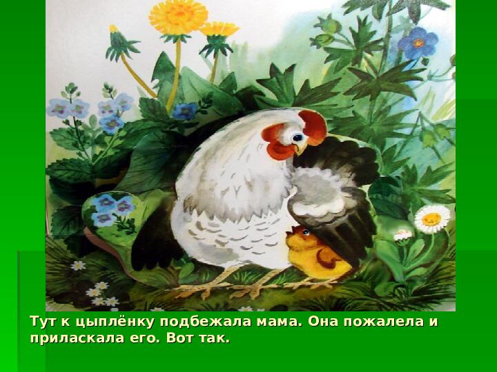 Презентация к ОУД по художественной литературе К. Чуковский "Цыпленок"