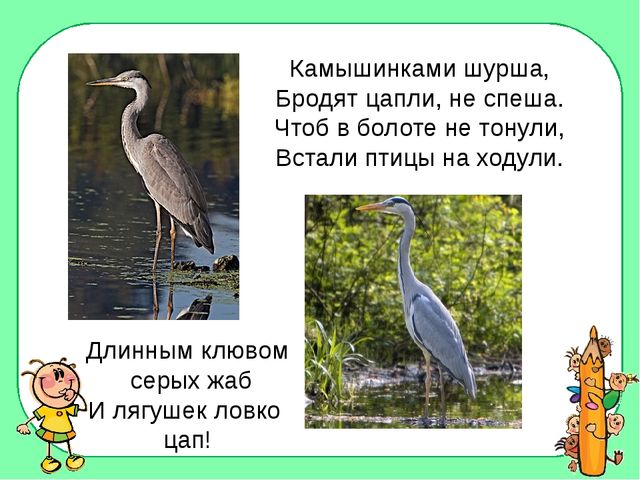 Презентация по изобразительному искусству "Сине-голубой узор Гжель"