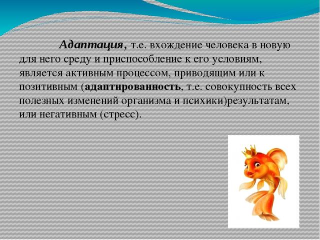 Презентация проекта "День за днем в детский сад мы идем"