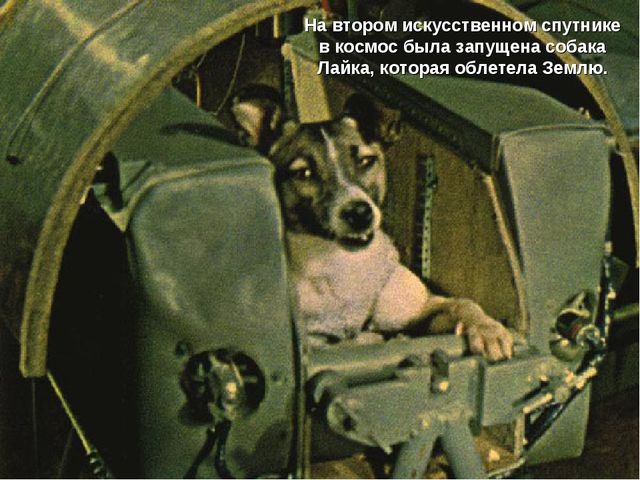 Презентация " Зачем люди осваивают космос"