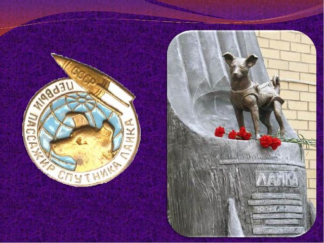 Презентация " Зачем люди осваивают космос"