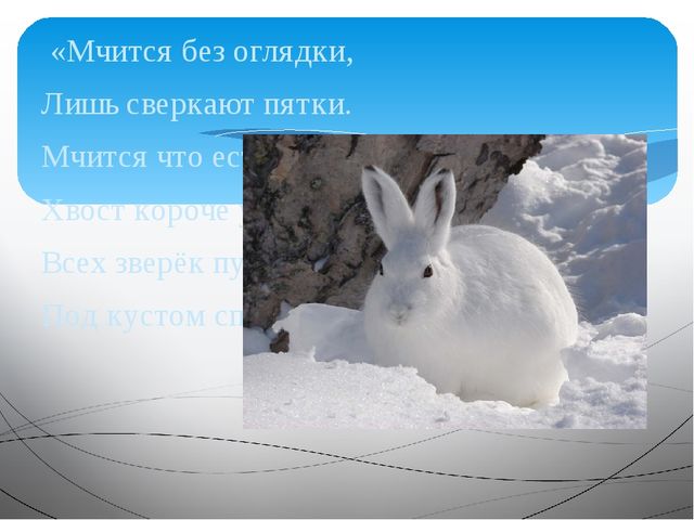 Презентация по развитию речи на тему "Путешествие в зимний лес"