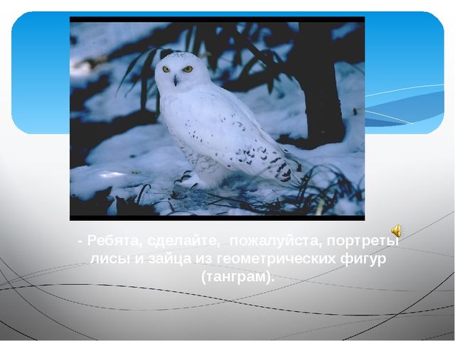 Презентация по развитию речи на тему "Путешествие в зимний лес"