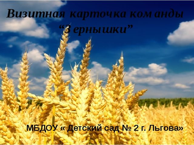 Визитная карточка команды Зернышки