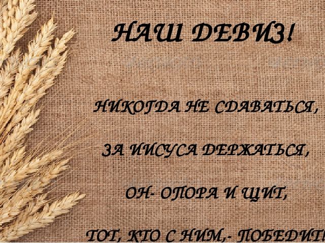 Визитная карточка команды Зернышки