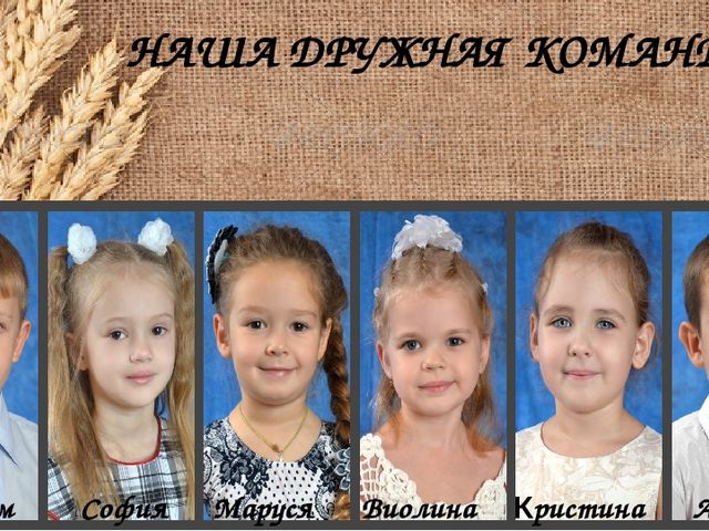 Визитная карточка команды Зернышки