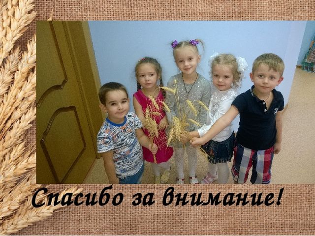 Визитная карточка команды Зернышки