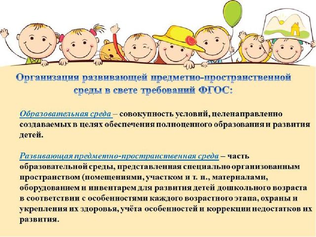 Организация развивающей предметно-пространственной среды в дошкольной организации в свете требований ФГОС