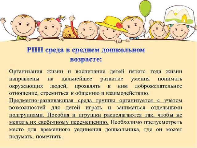 Организация развивающей предметно-пространственной среды в дошкольной организации в свете требований ФГОС