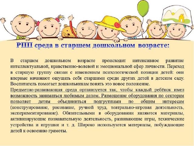 Организация развивающей предметно-пространственной среды в дошкольной организации в свете требований ФГОС