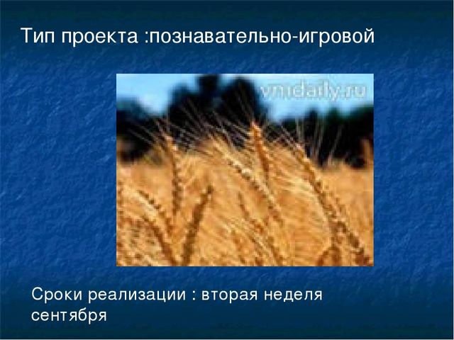Презентация к проекту " Хлеб- всему голова"
