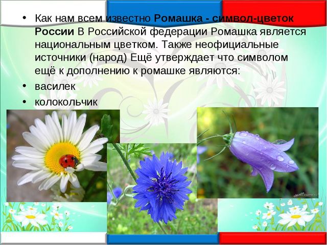 8 июля- День семьи, любви и верности
