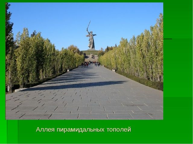 Презентация "Мы живем на земле Волгоградской"